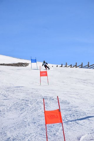 Чемпионат Узбекистана 2024